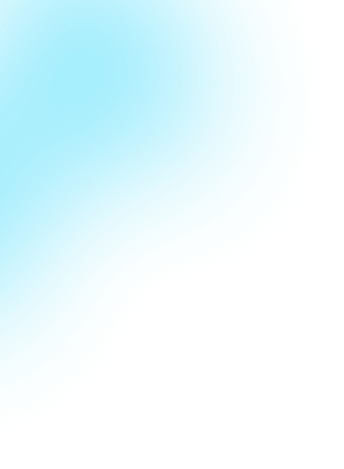 BN Software