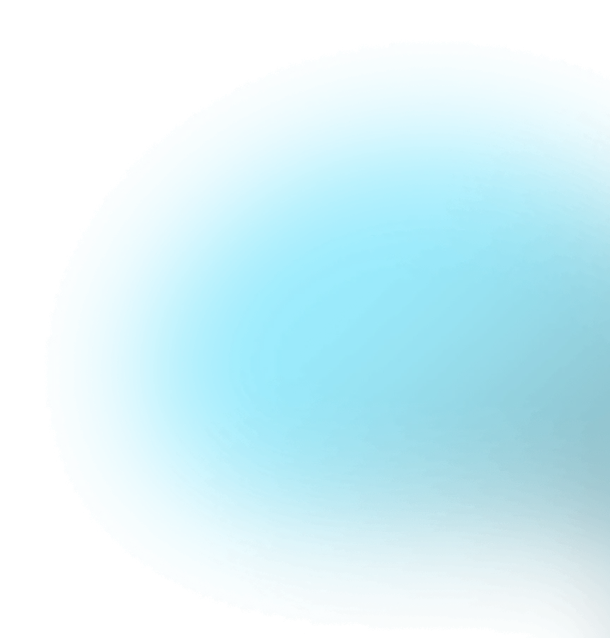 BN Software