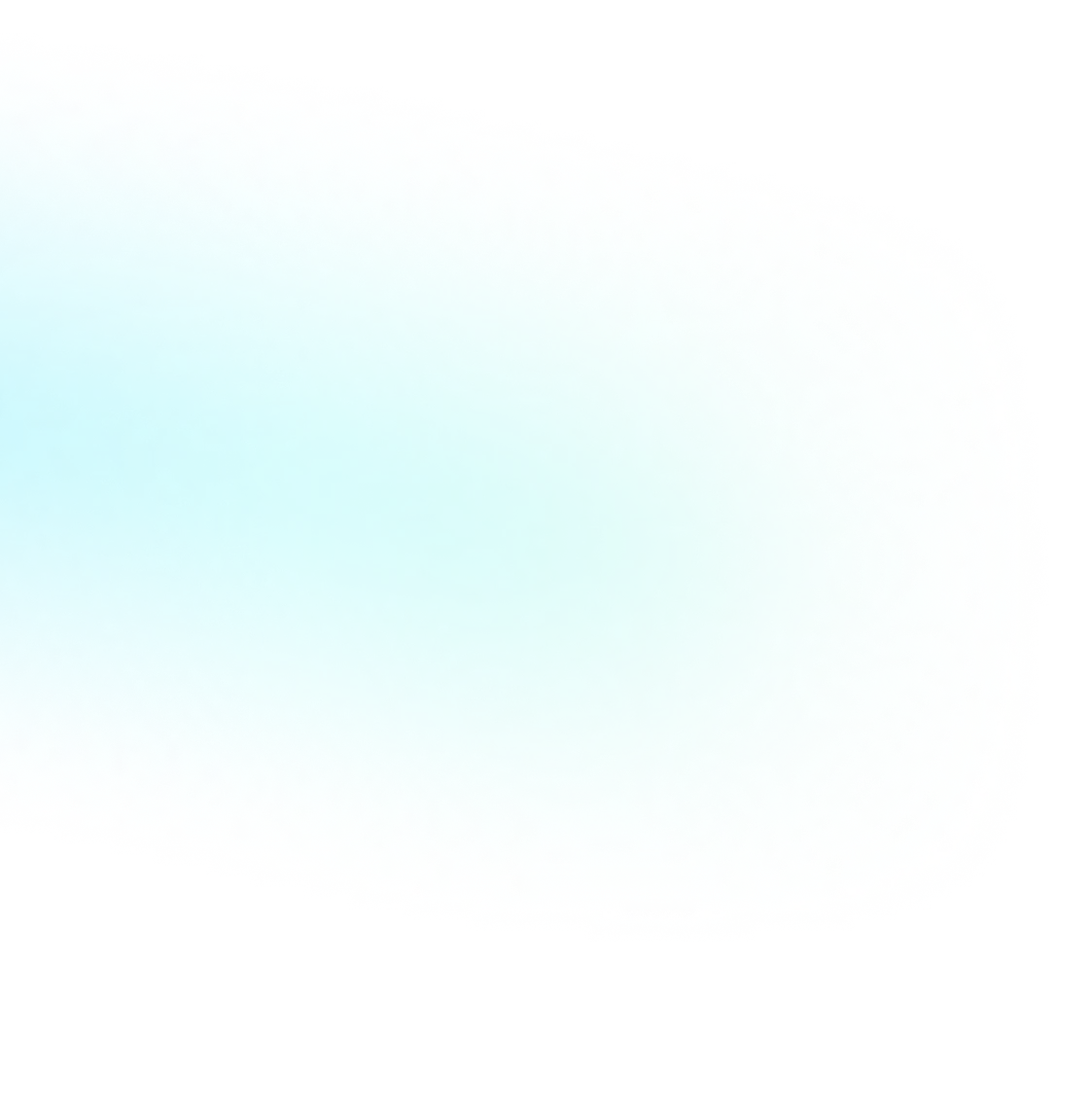 BN Software